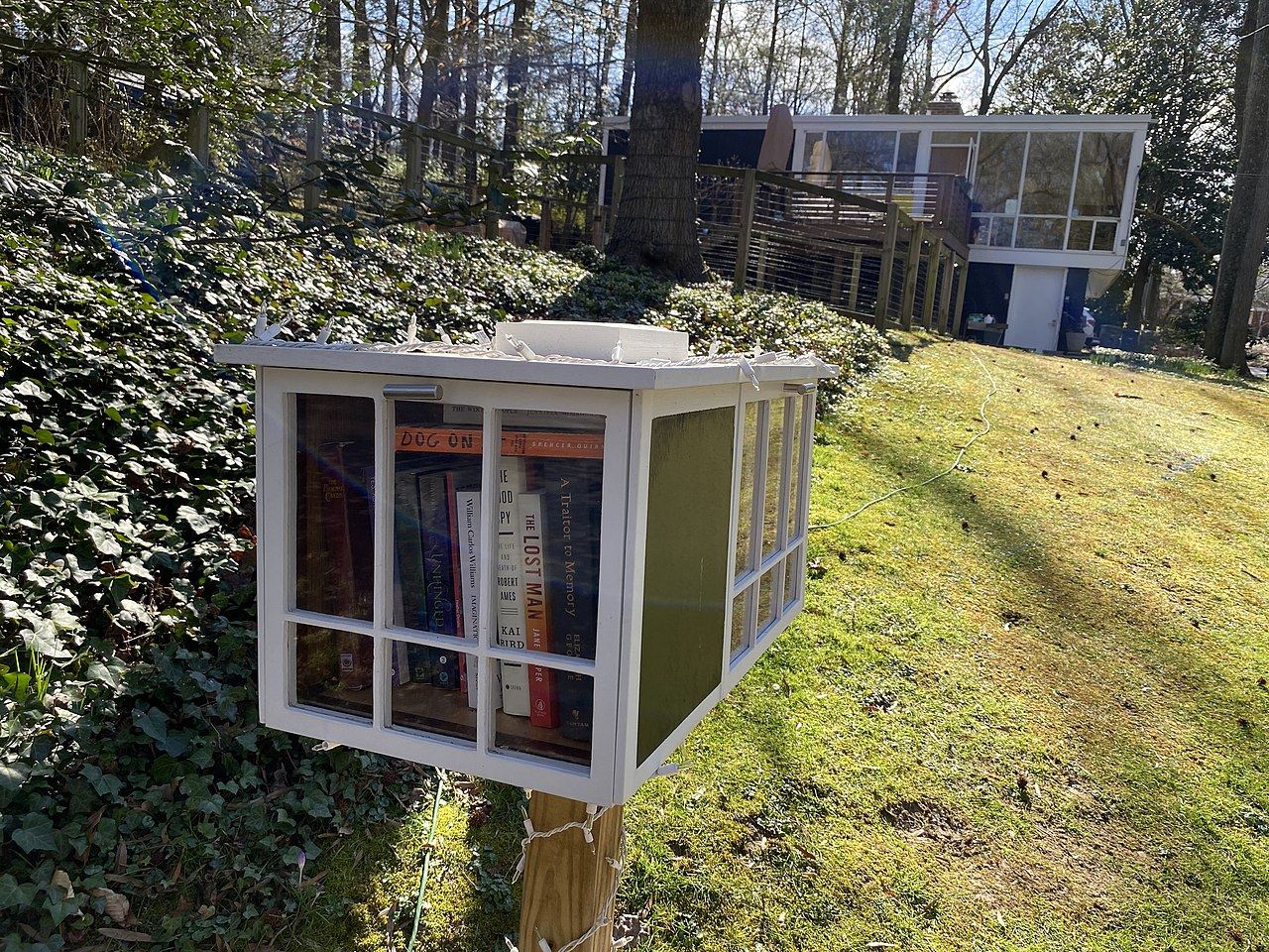 Little Library Book Exchange in Hollin Hills at 2200 block of Glasgow Rd (Photo permission by David Harrity)